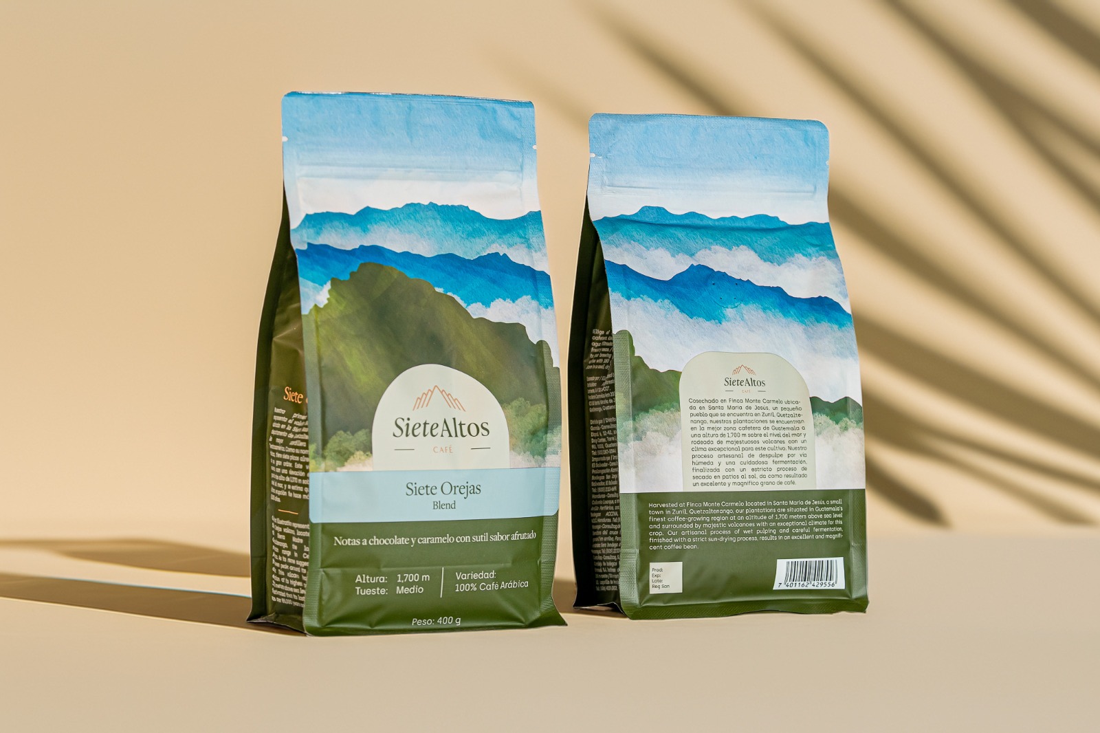 Proyecto 4